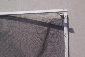 torn window screen