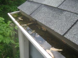 gutter filled with water