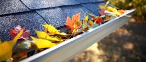 leaves in gutter