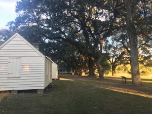 McLeod Plantation Tour