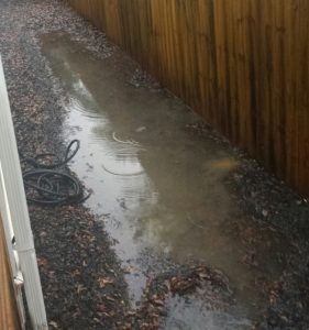 standing water in side yard