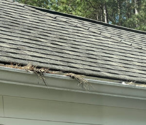 gutter full of debris